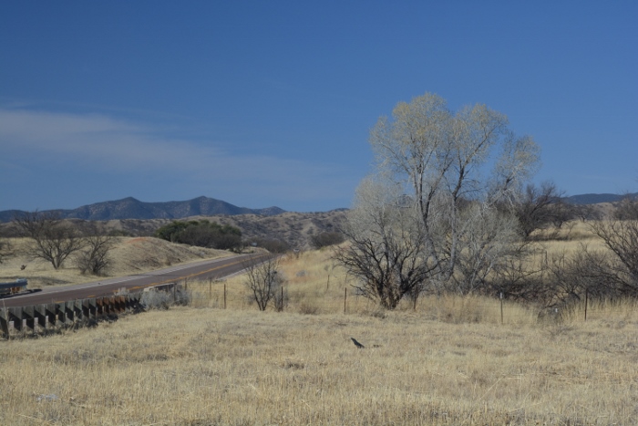 The road to Patagonia